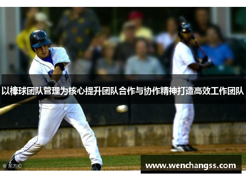 以棒球团队管理为核心提升团队合作与协作精神打造高效工作团队