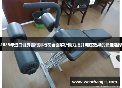 2025年进口健身器材排行榜全面解析助力提升训练效果的最佳选择