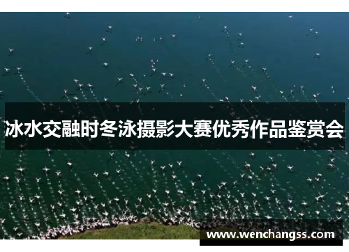 冰水交融时冬泳摄影大赛优秀作品鉴赏会