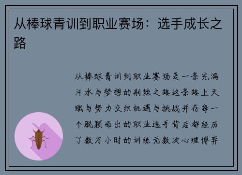 从棒球青训到职业赛场：选手成长之路