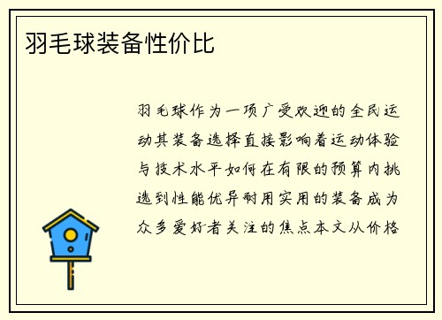 羽毛球装备性价比